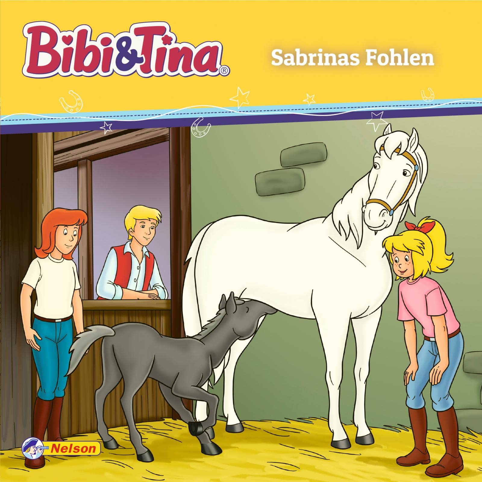 Maxi-Mini 108 Bibi und Tina - Sabrinas Fohlen (Nelson Maxi-Mini) Non-fiction