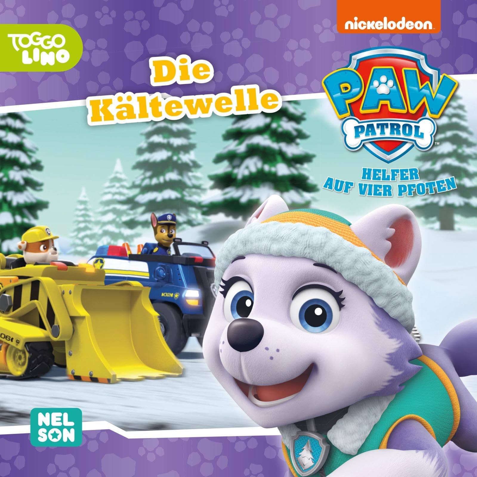 Maxi-Mini 171: VE5: PAW Patrol: Die Kältewelle: TV-Folge im Schneechaos spannend nacherzählt (ab 3 Jahren) (Nelson Maxi-Mini: Maximaler Vorlesespaß!) Non-fiction