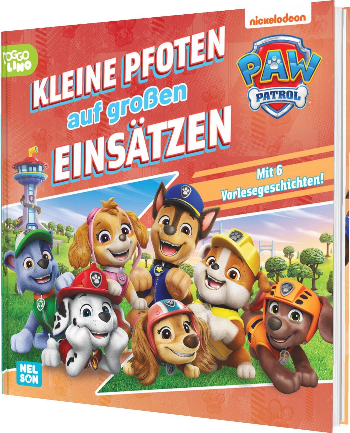 PAW Patrol Geschichtenbuch: Kleine Pfoten auf großen Einsätzen Non-fiction