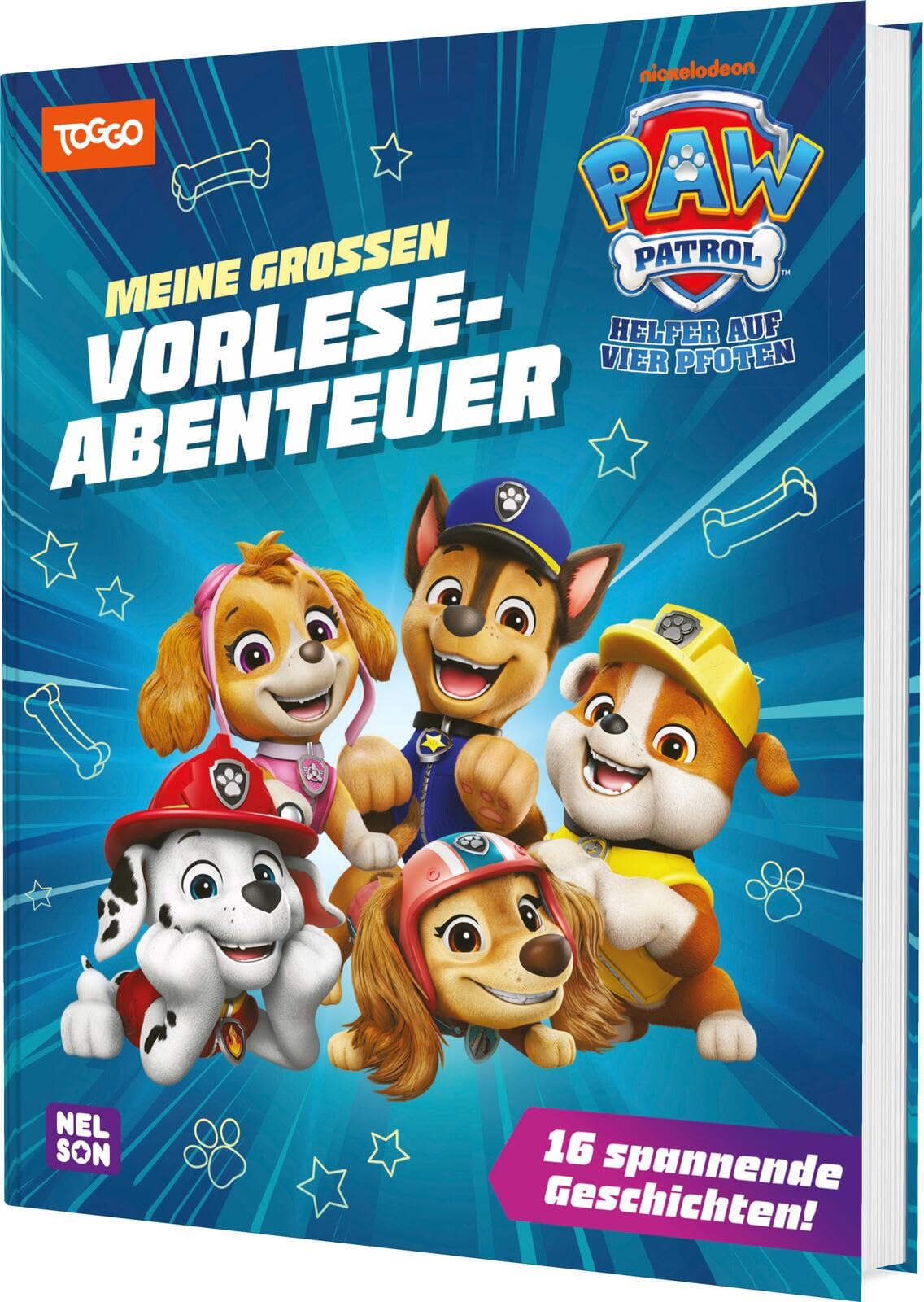 PAW Patrol Geschichtenbuch: Meine großen Vorleseabenteuer Non-fiction