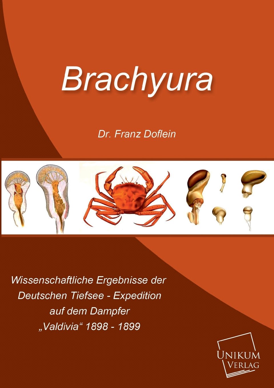 Brachyura: Wissenschaftliche Ergebnisse der Deutschen Tiefsee Expedition auf dem Dampfer "Valdivia" 1898 - 1899 Natural Sciences