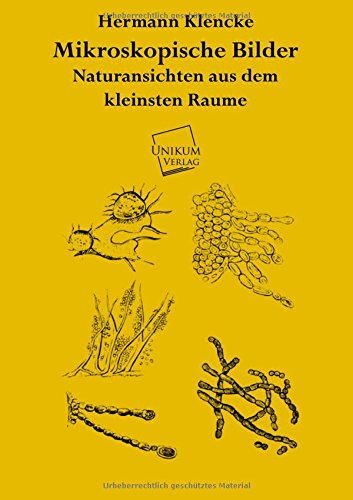 Mikroskopische Bilder: Naturansichten aus dem kleinsten Raume Business & Technology