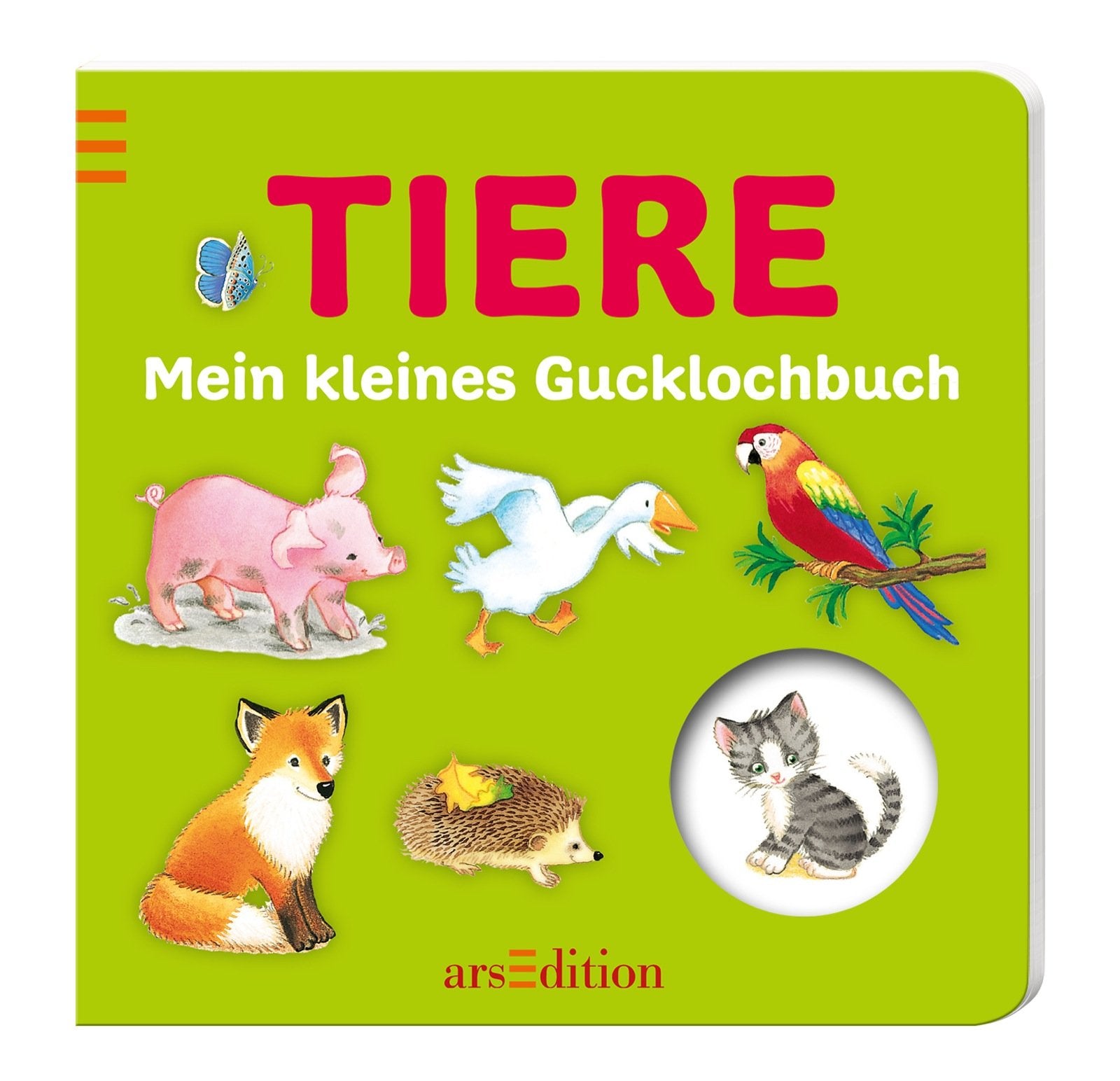 Mein kleines Gucklochbuch: Tiere Learning & Reference