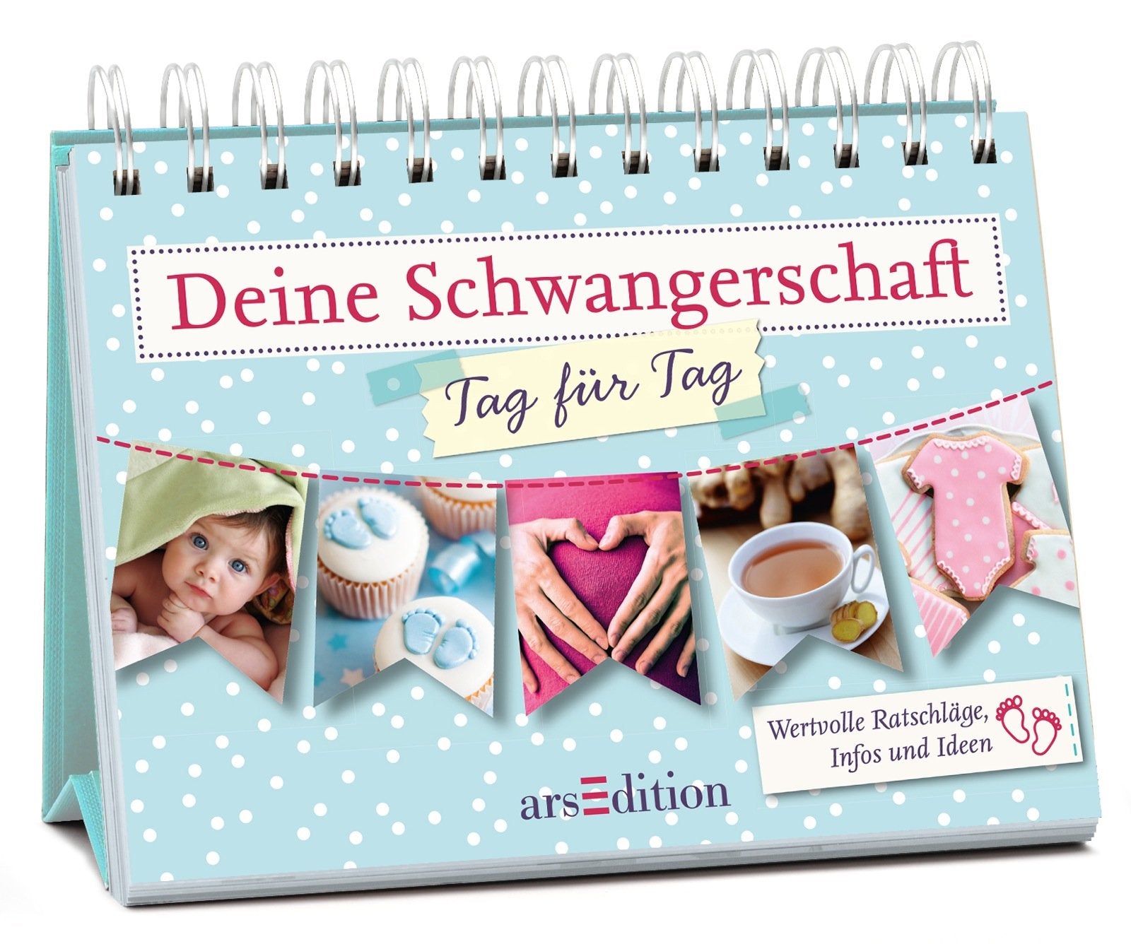 Deine Schwangerschaft -- Tag für Tag: Wertvolle Ratschläge, Infos und Ideen. Aufstellbuch Living & Furnishing