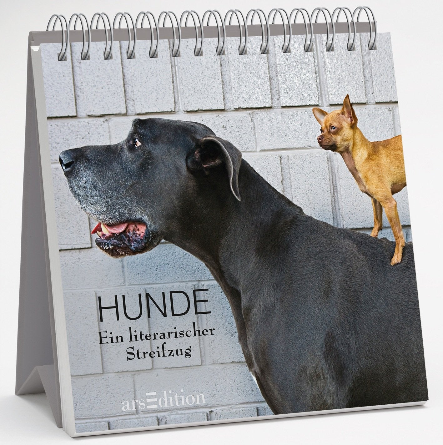 Hunde Living & Furnishing
