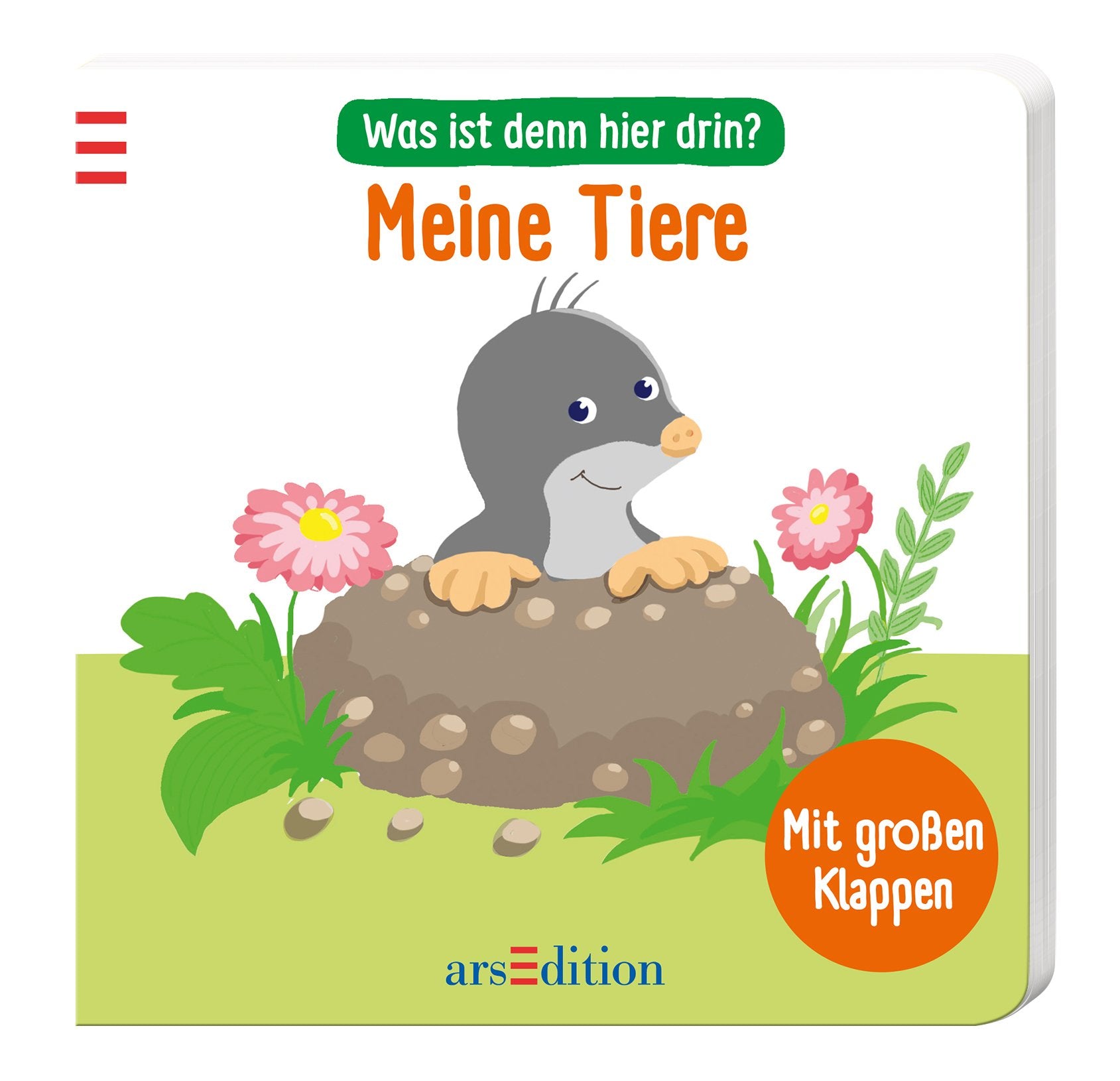 Was ist denn hier drin? Meine Tiere Non-fiction
