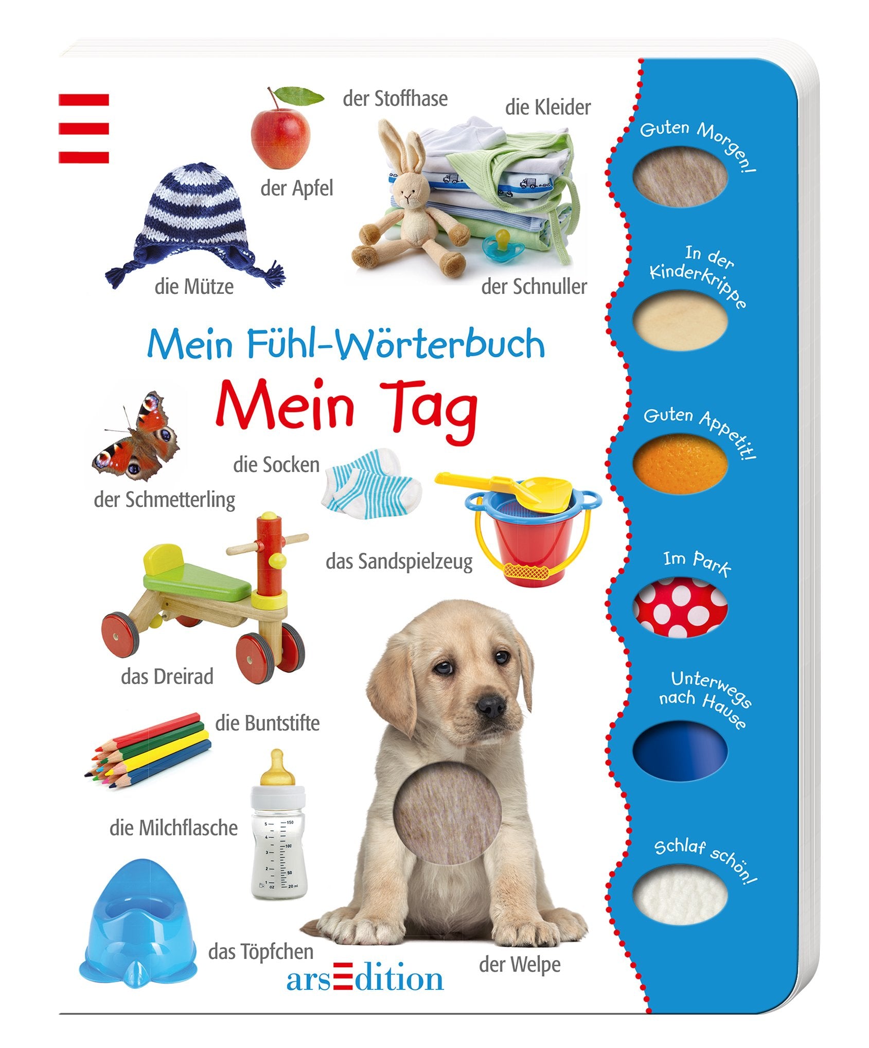 Mein Fühl-Wörterbuch - Mein Tag book