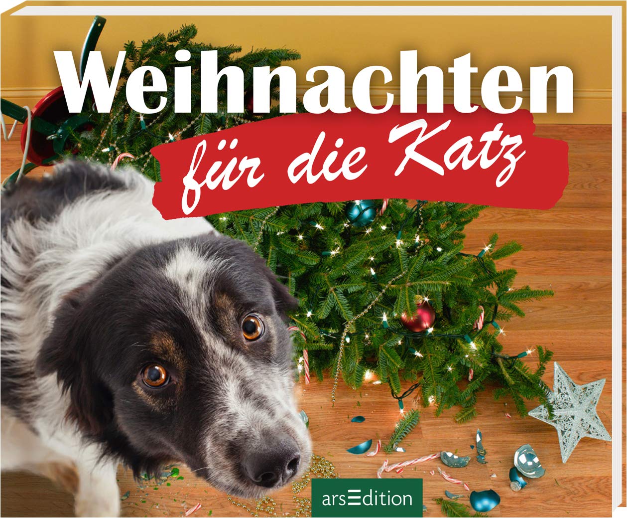 Weihnachten für die Katz Lifestyle