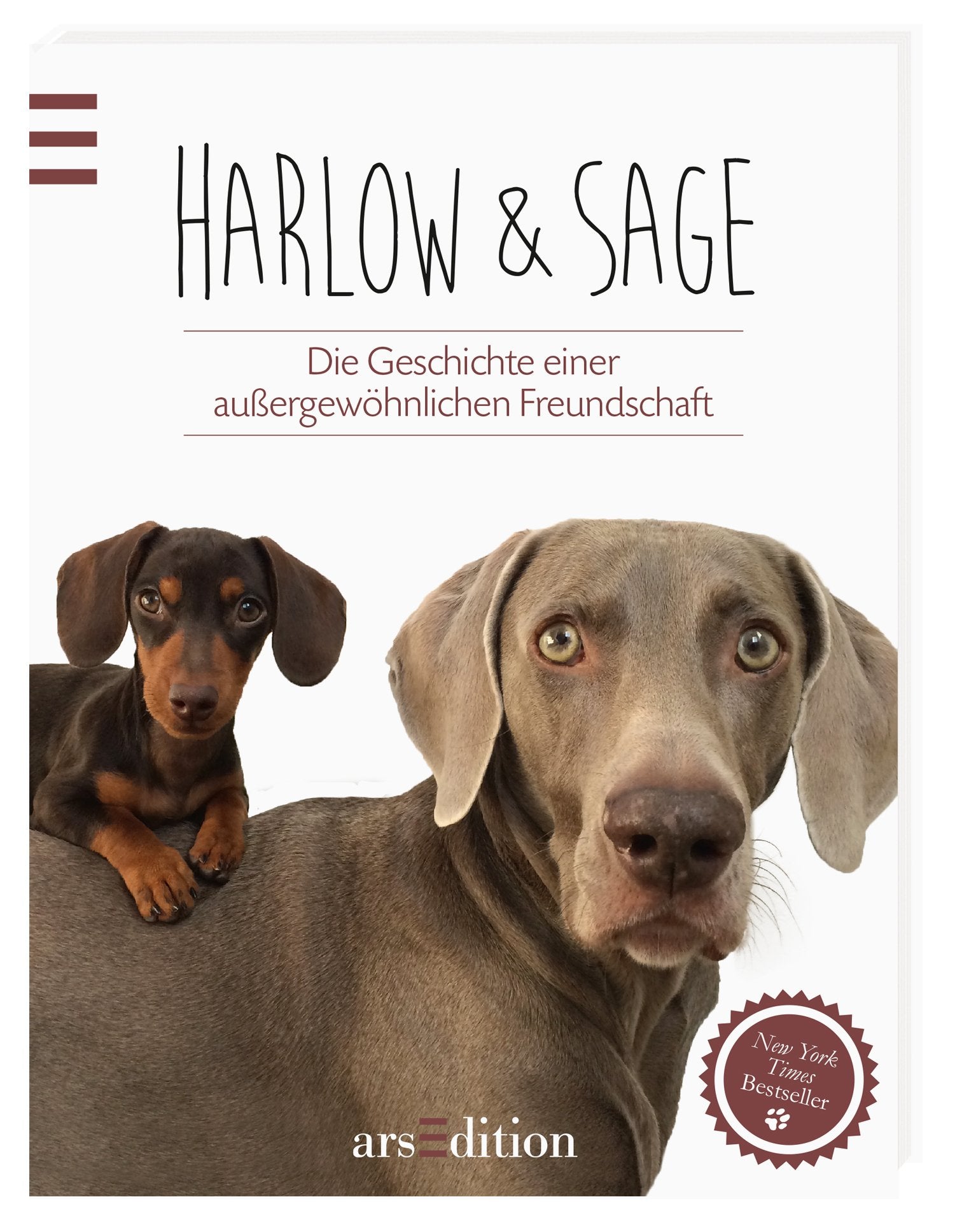 Harlow & Sage Lifestyle Books