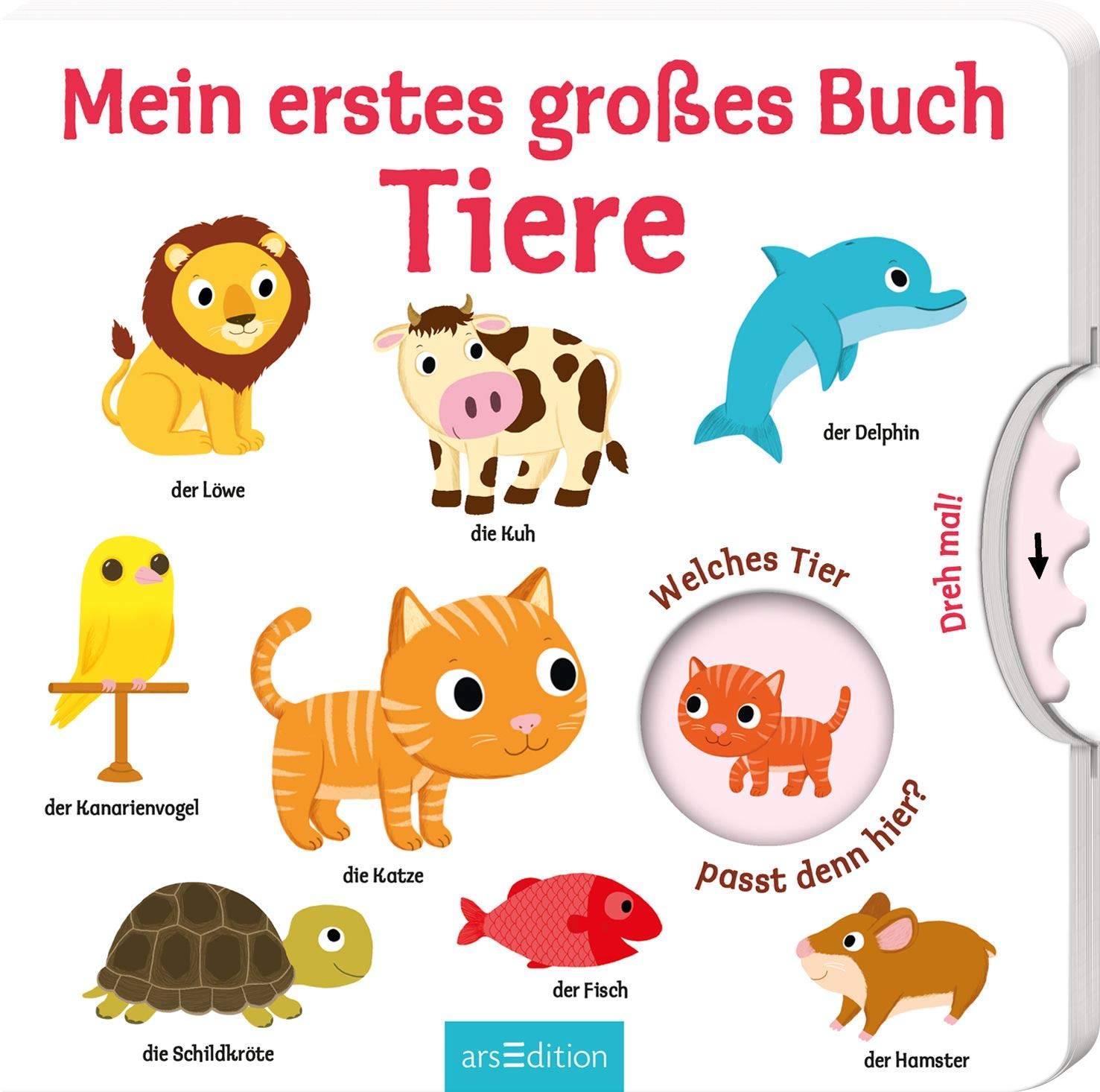 Mein erstes großes Buch - Tiere Learning & Reference