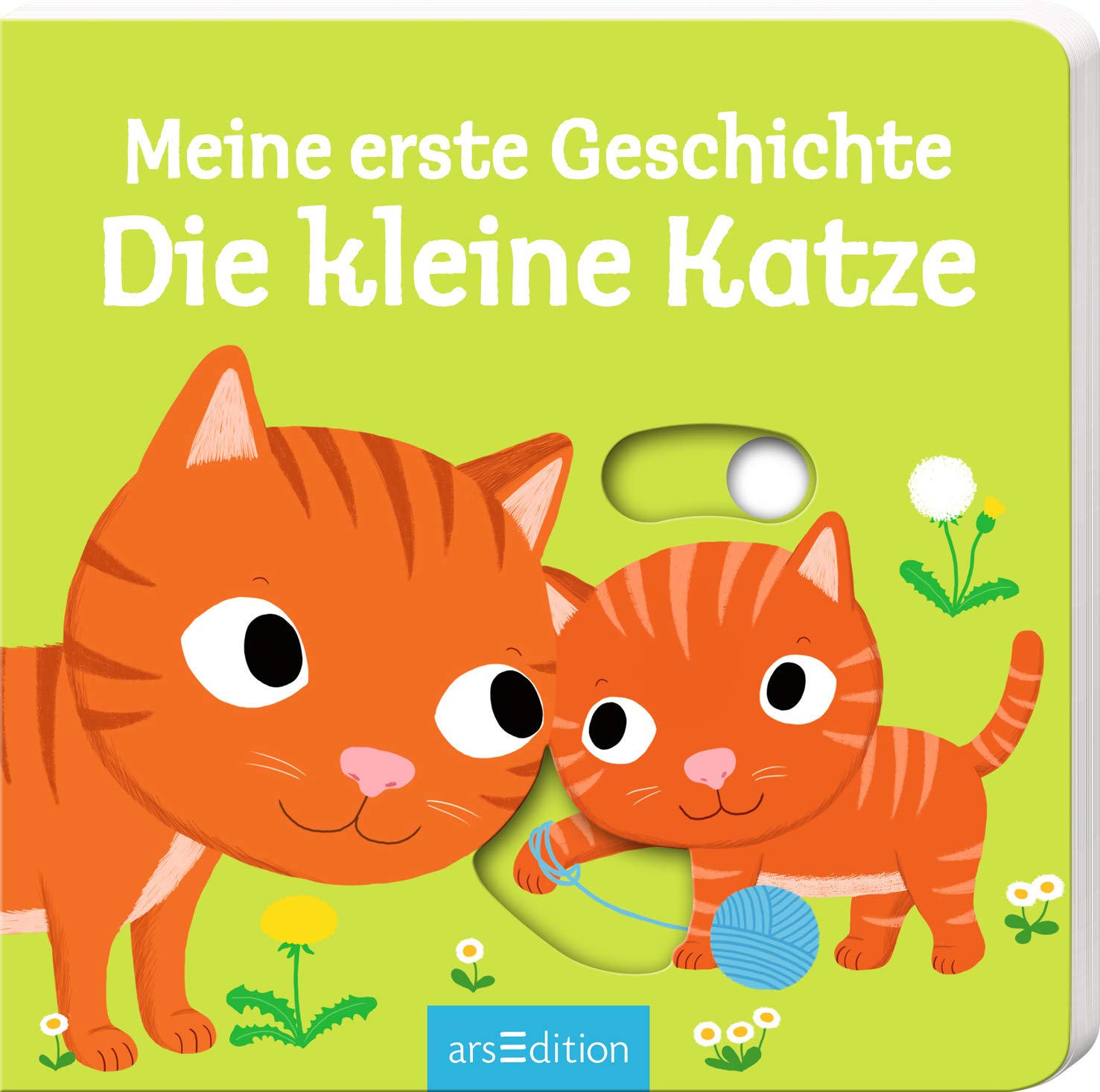 Meine erste Geschichte Die kleine Katze Non-fiction
