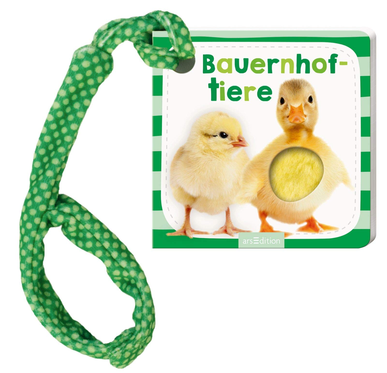 Product Image: Mein Foto-Buggybuch Bauernhoftiere