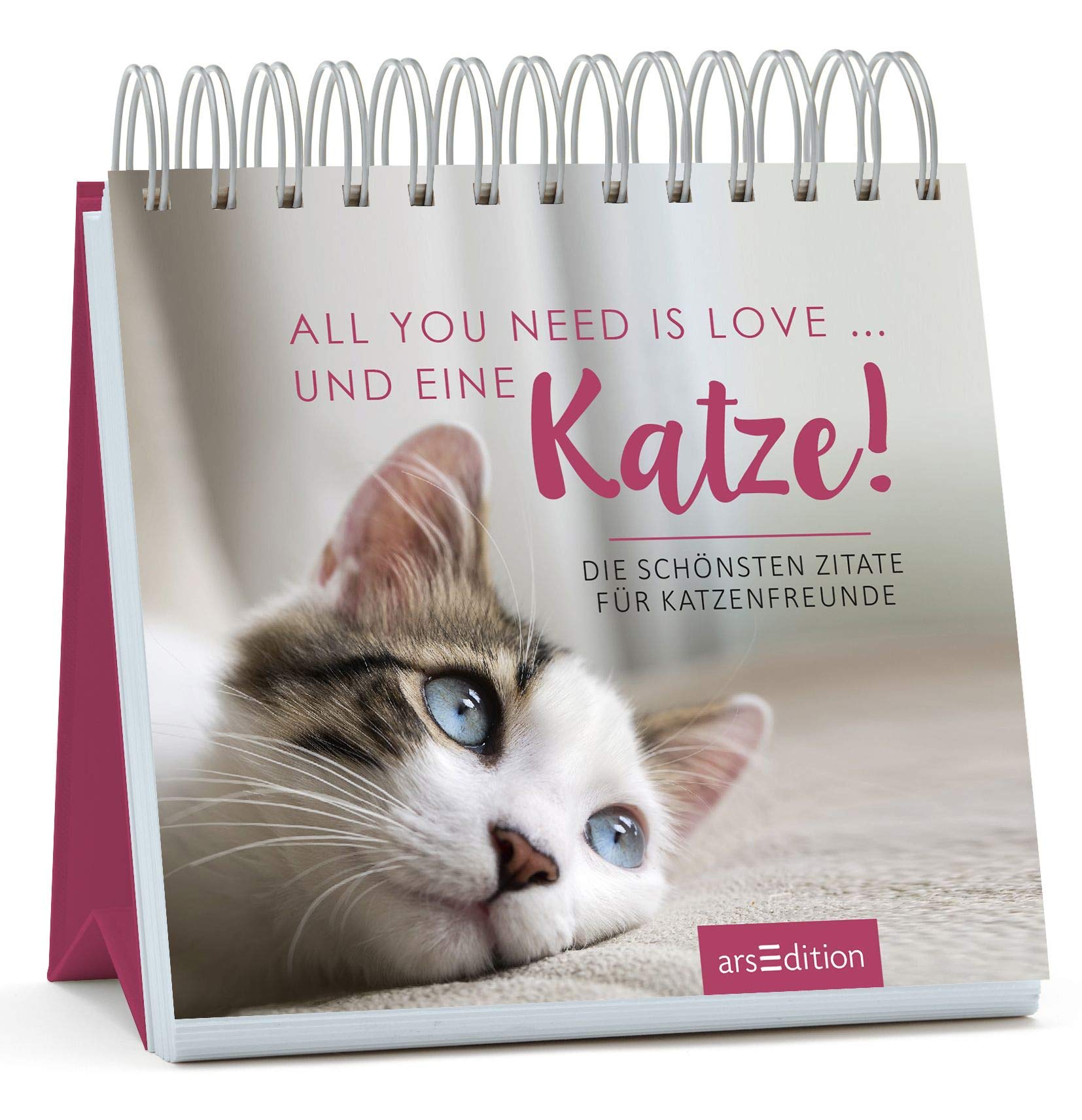 Product Image: All you need is love ... und eine Katze!