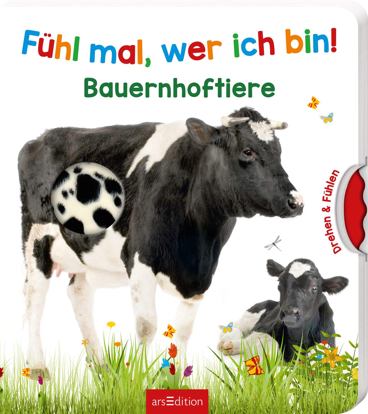 Fühl mal, wer ich bin! Bauernhoftiere Non-fiction