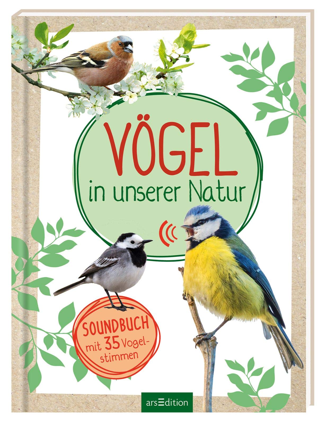Vögel in unserer Natur Leisure, Home & Garden