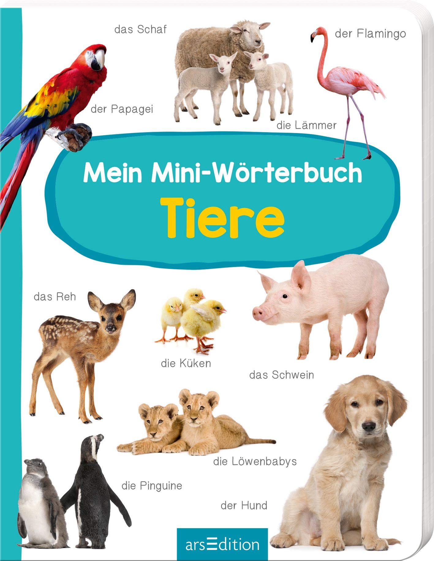 Mein Mini-Wörterbuch - Tiere Non-fiction