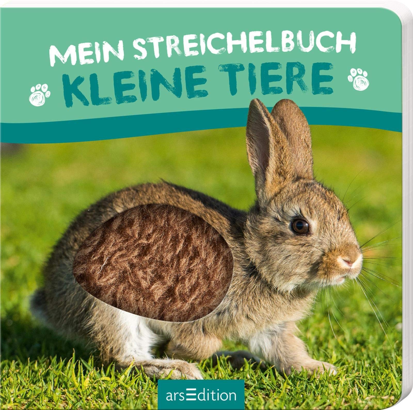 Mein Streichelbuch: Mein Streichelbuch - Kleine Tiere Health, Nutrition & Fitness