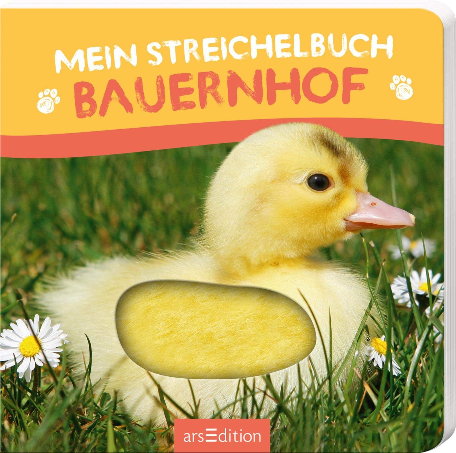 Mein Streichelbuch: Mein Streichelbuch - Bauernhof Health, Nutrition & Fitness