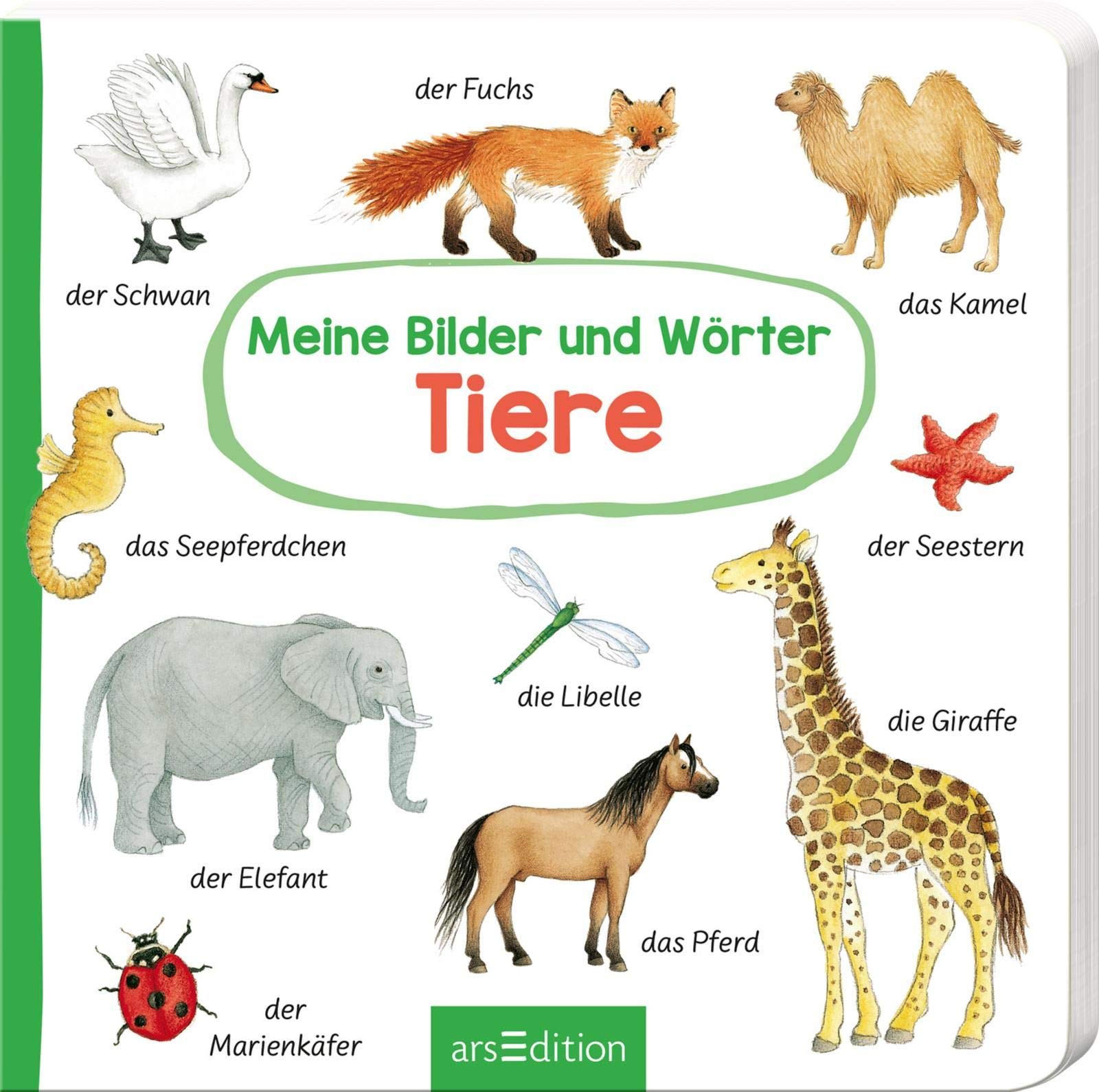 Meine Bilder und Wörter: Meine Bilder und Wörter - Tiere Health, Nutrition & Fitness