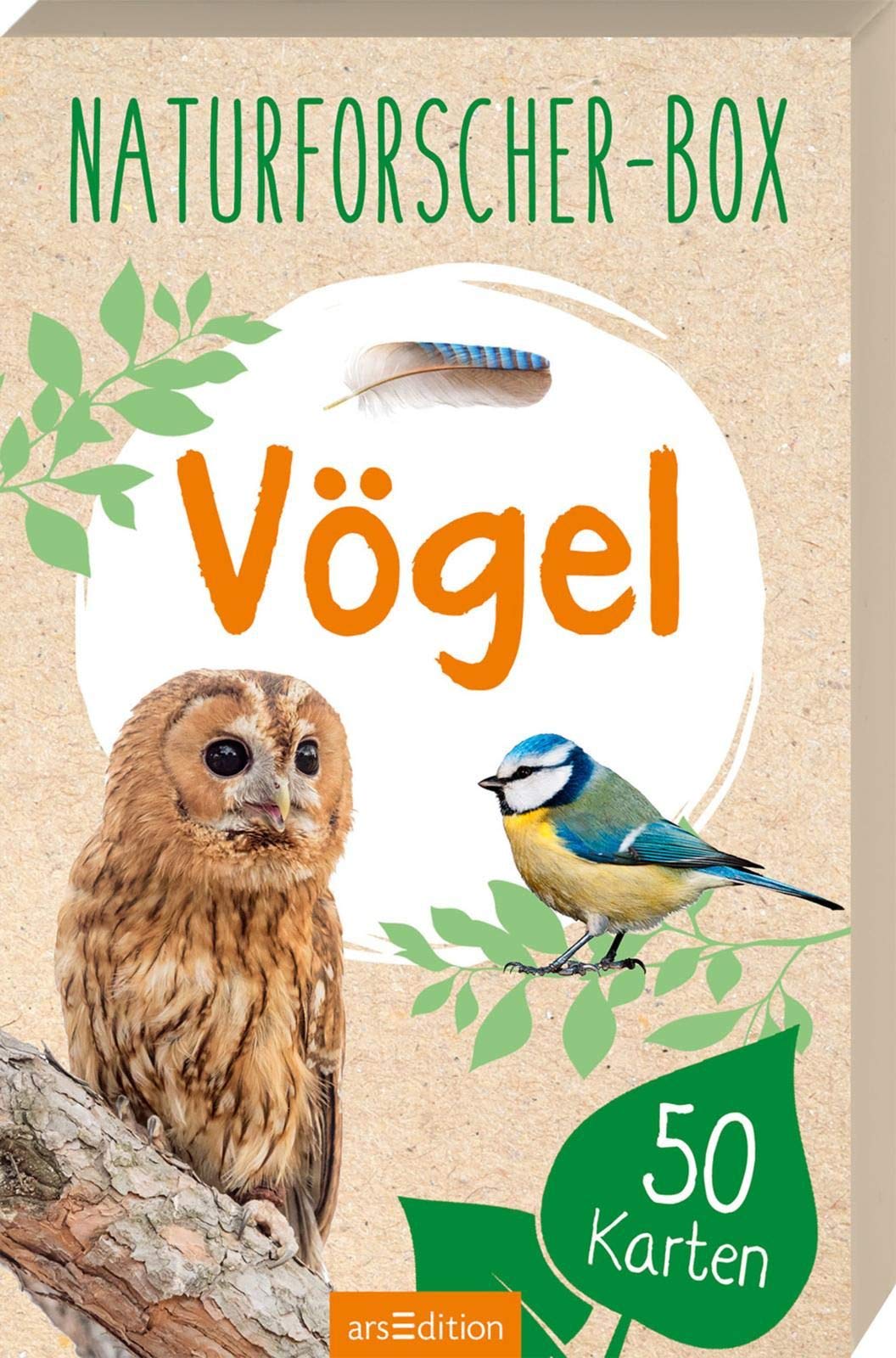 Naturforscher-Box - Vögel: mit 50 Karten Leisure, Home & Garden