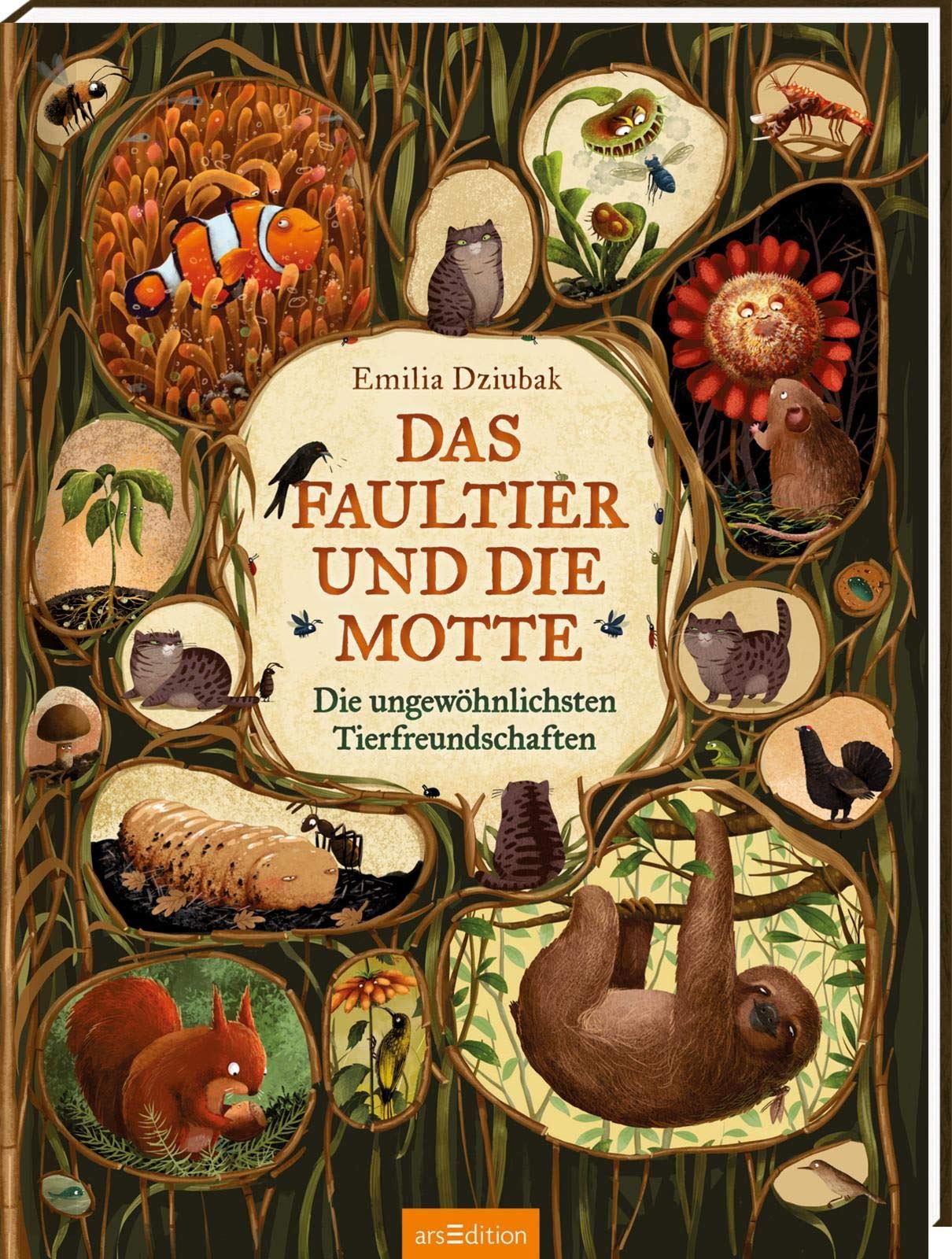 Das Faultier und die Motte Non-fiction