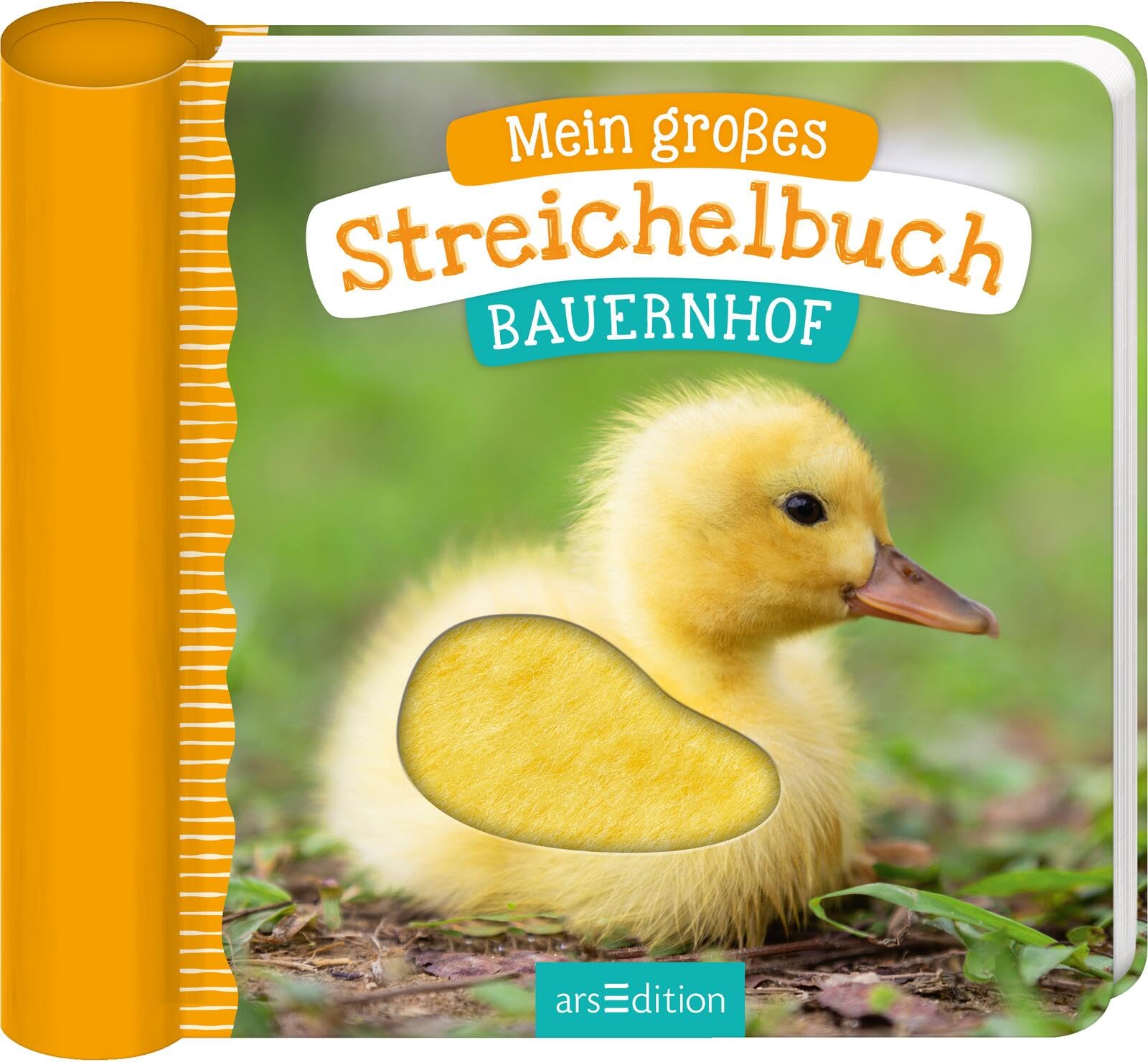 Product Image: Mein großes Streichelbuch - Bauernhof