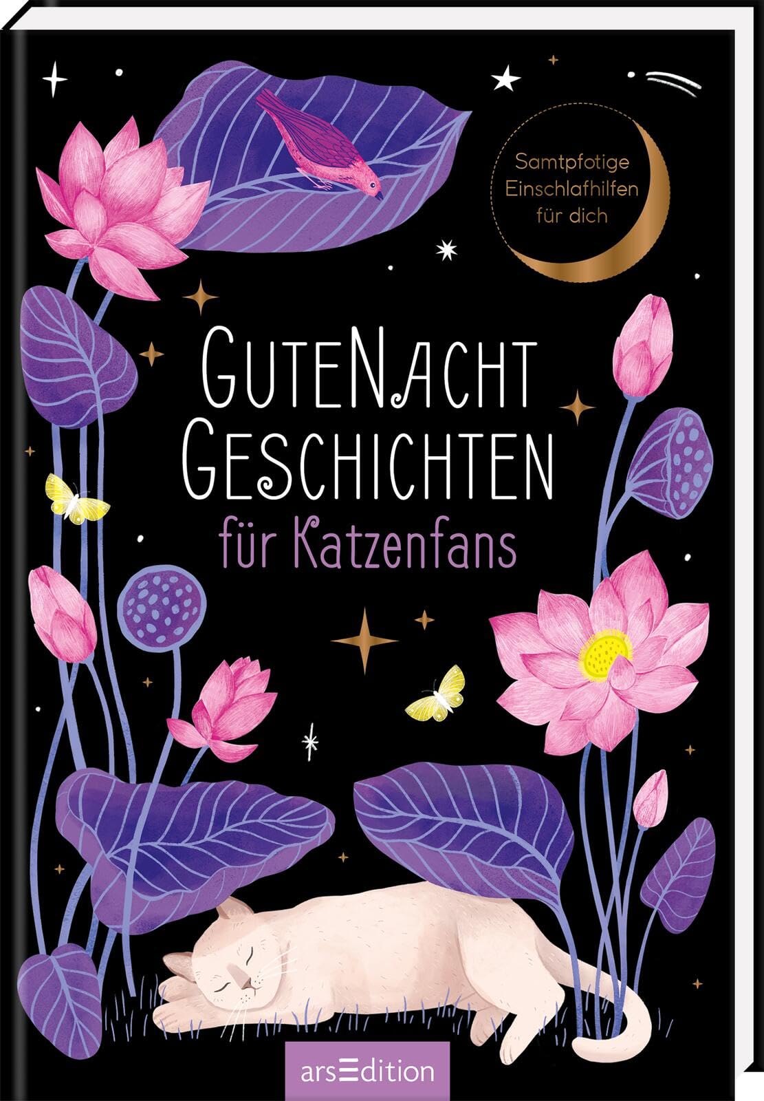 Gutenachtgeschichten für Katzenfans Fairy Tales & Legends