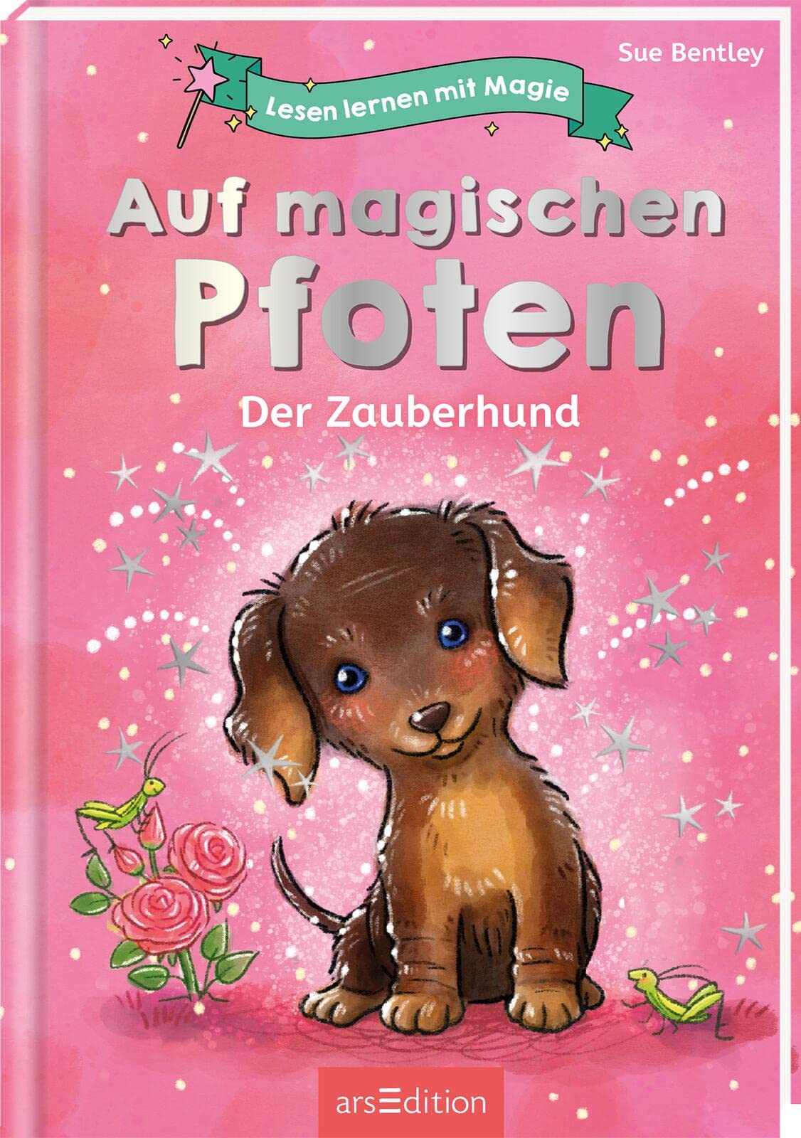 Lesen lernen mit Magie: Auf magischen Pfoten Novels & Short Stories