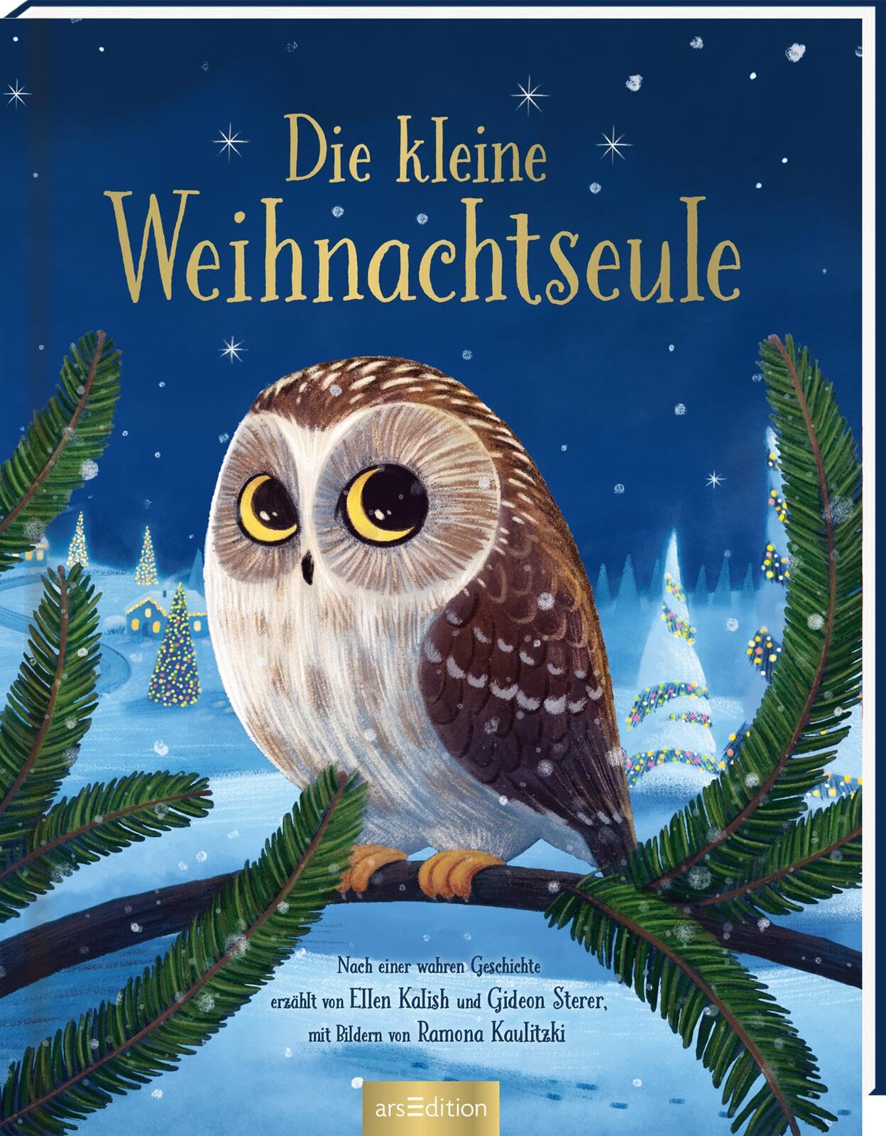 Die kleine Weihnachtseule Memories