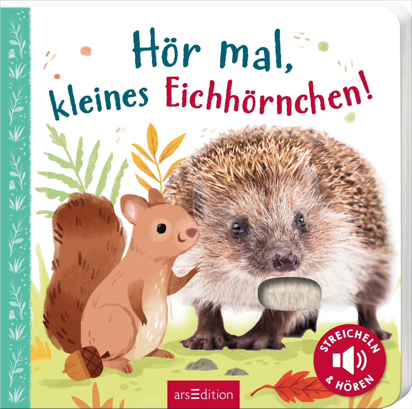 Hör mal, kleines Eichhörnchen! Non-fiction books for kids
