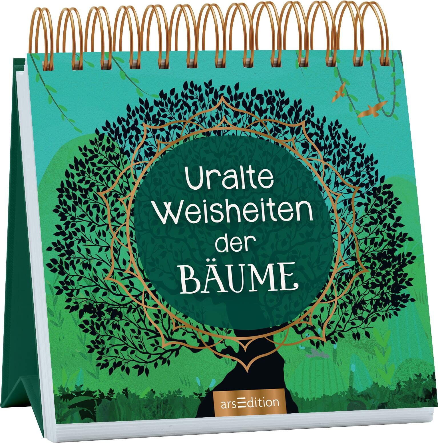 Uralte Weisheiten der Bäume Lifestyle