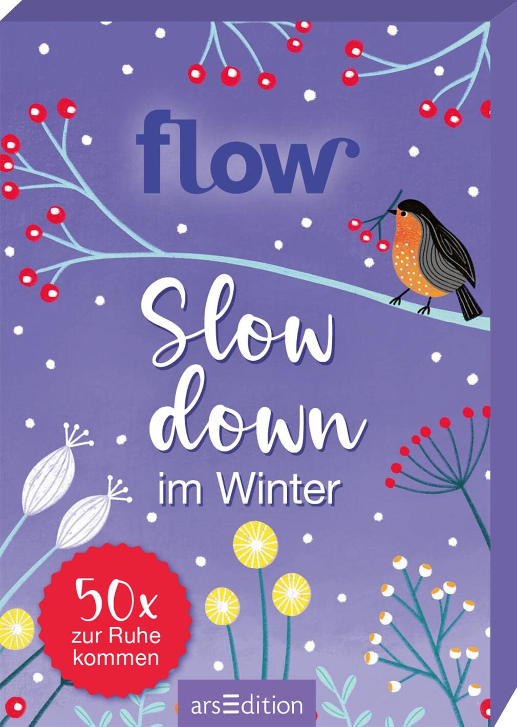 Slow down im Winter. 50 x zur Ruhe kommen Business, Finance & Career