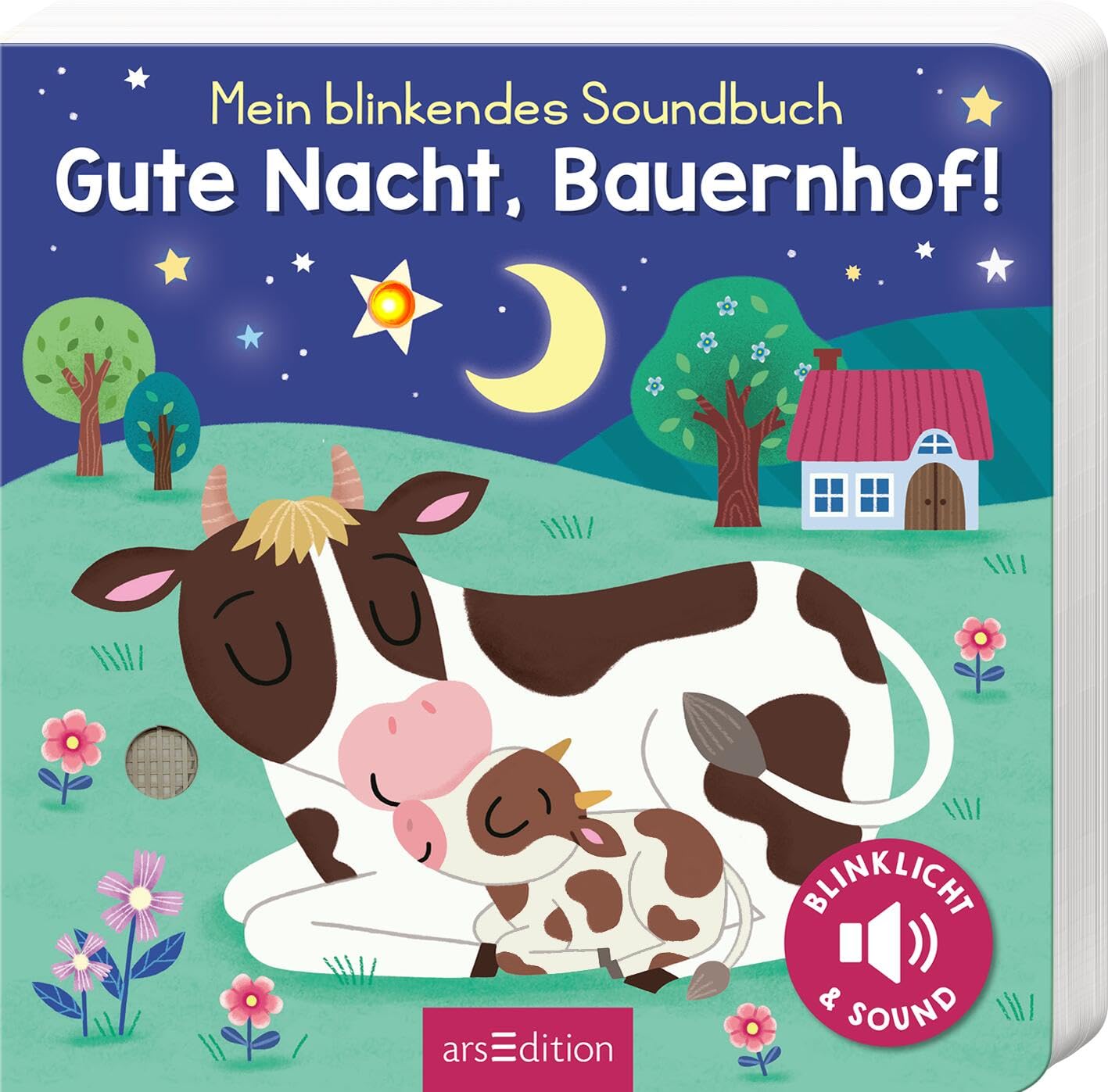 Mein blinkendes Soundbuch - Gute Nacht, Bauernhof! Health, Nutrition & Fitness