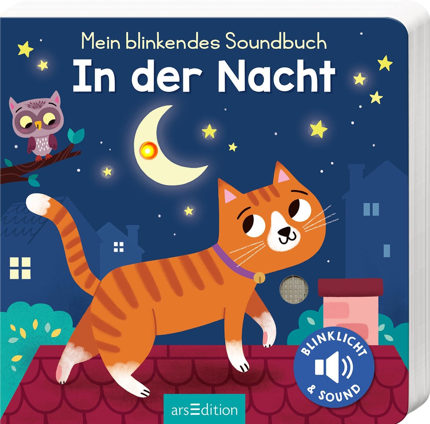 Mein blinkendes Soundbuch - In der Nacht Health, Nutrition & Fitness