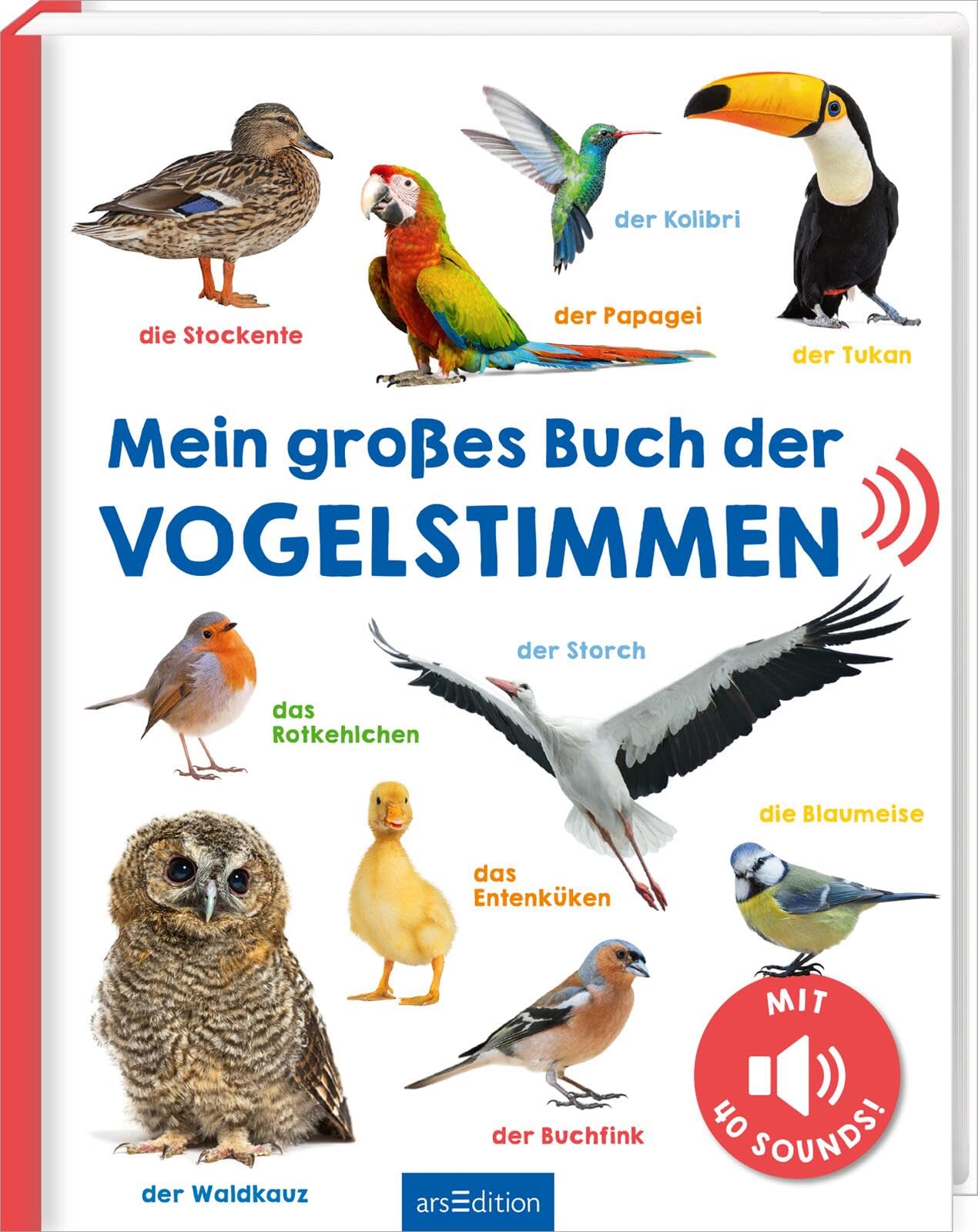 Mein großes Buch der Vogelstimmen Non-fiction