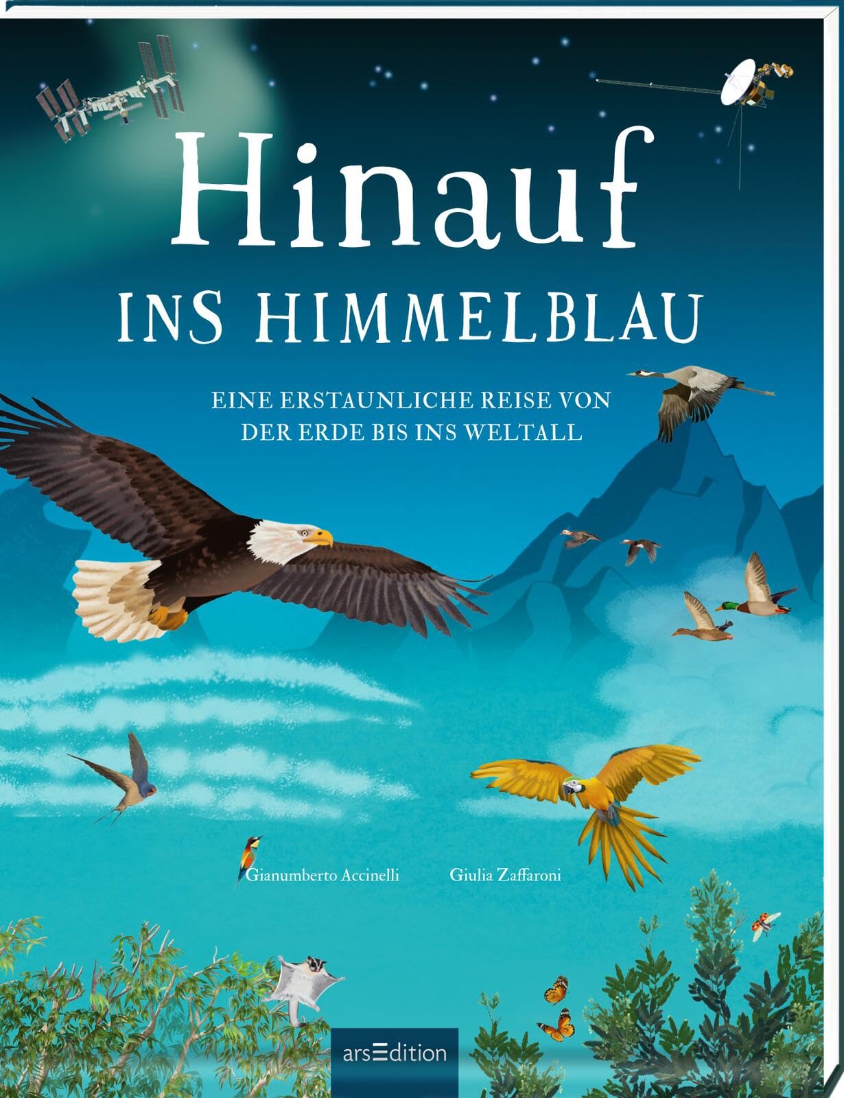 Hinauf ins Himmelblau General education