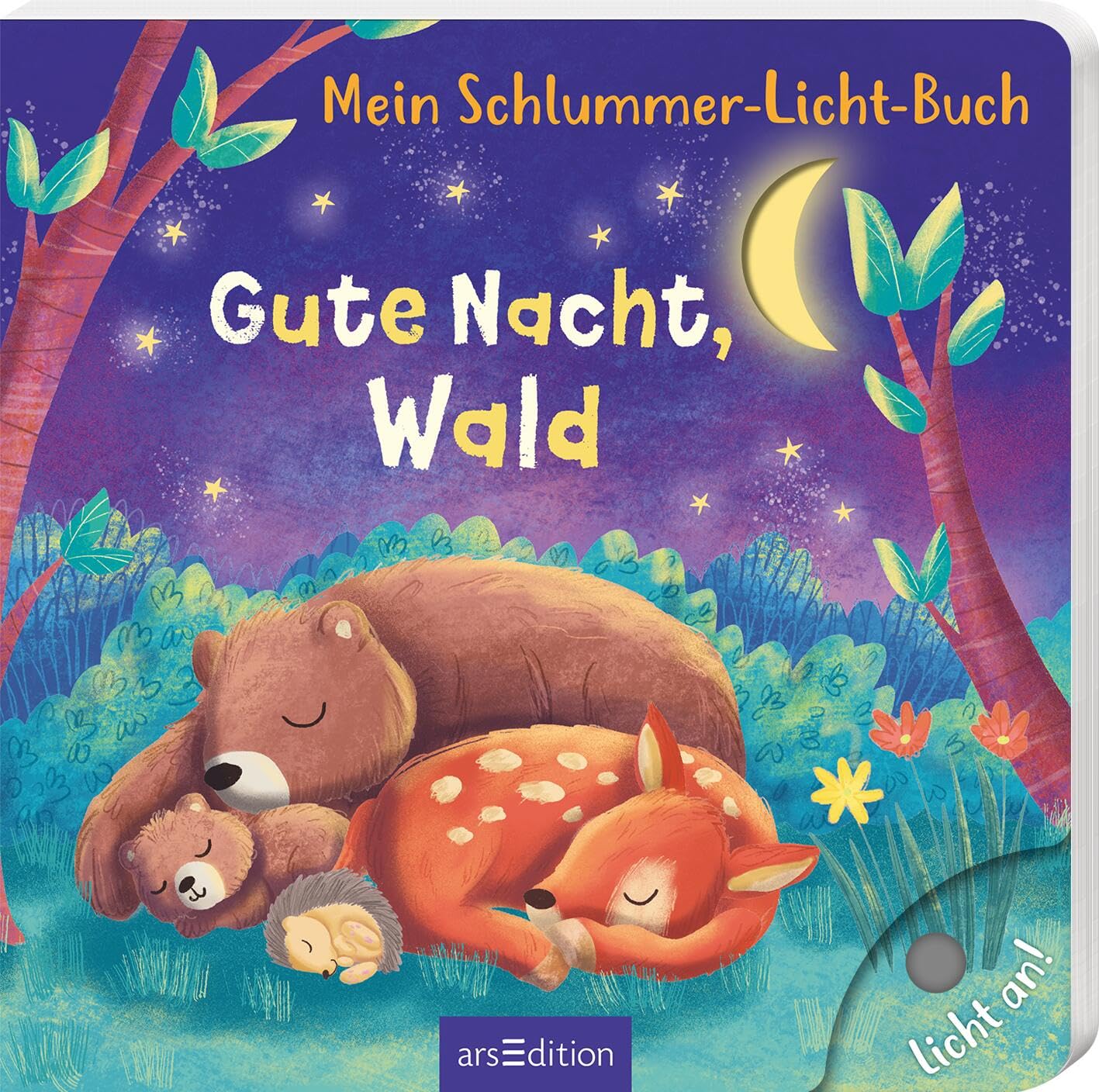 Mein Schlummer-Licht-Buch: Gute Nacht, Wald Non-fiction