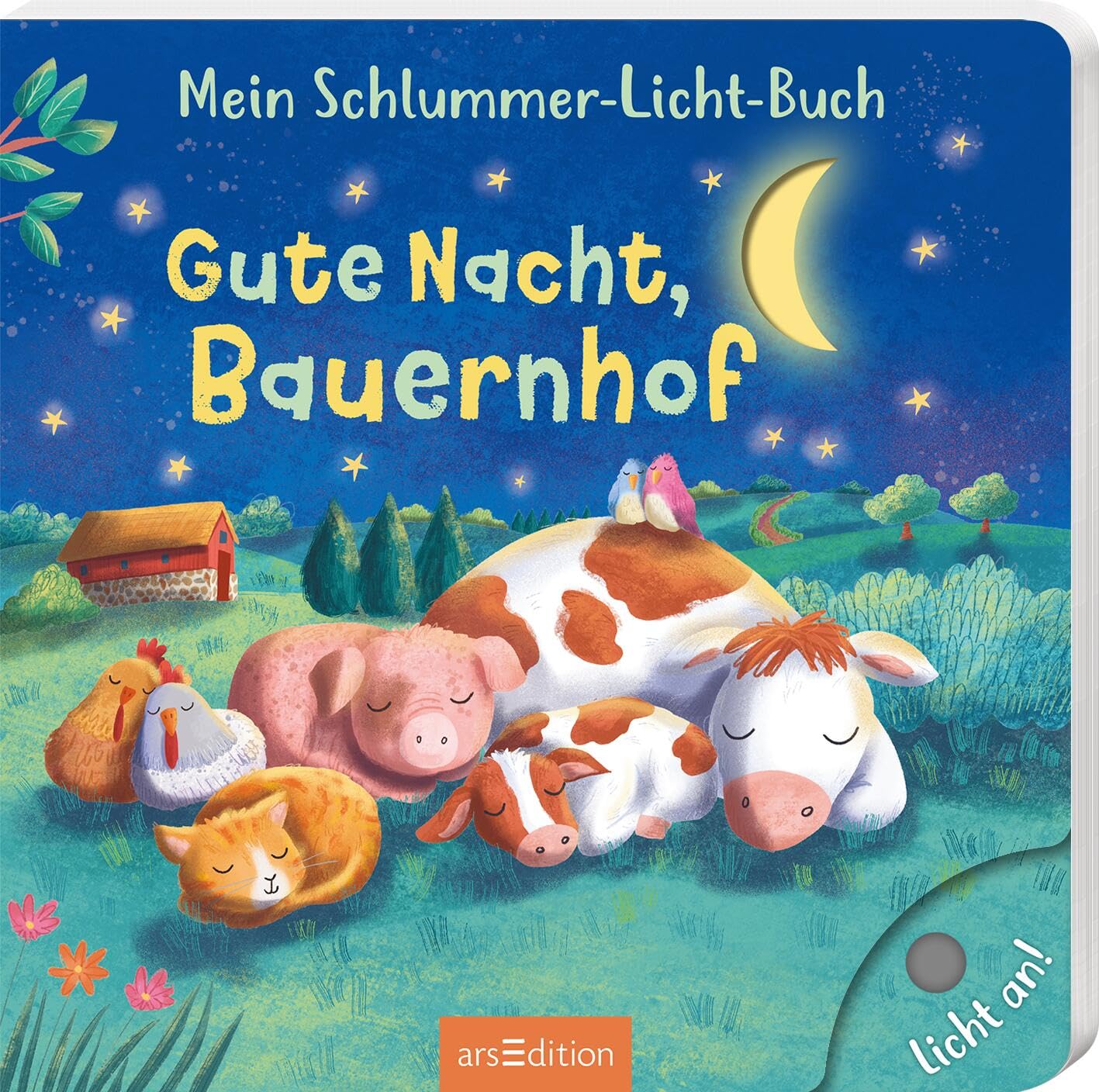 Mein Schlummer-Licht-Buch: Gute Nacht, Bauernhof Non-fiction