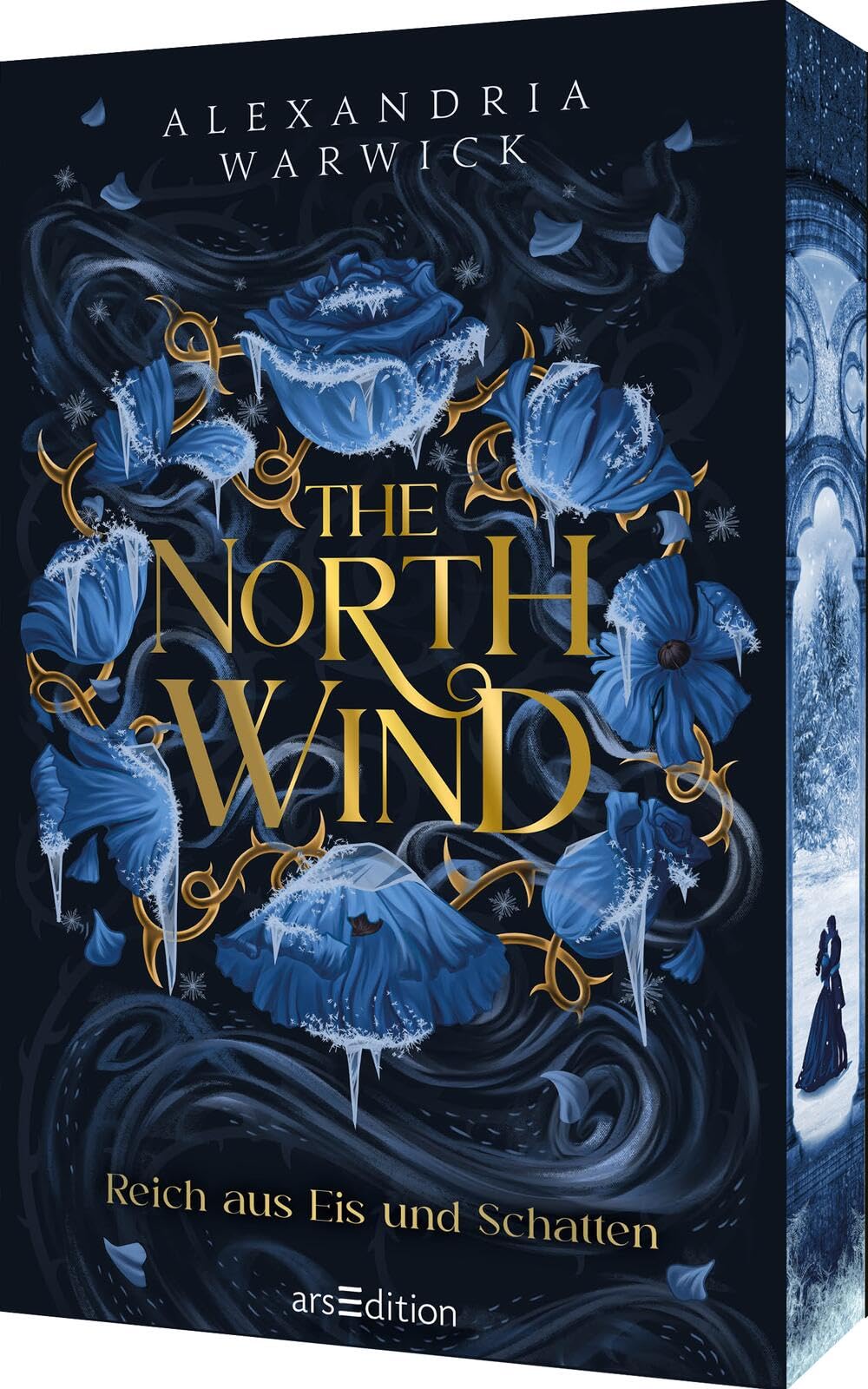 The North Wind - Reich aus Eis und Schatten (The Four Winds 1) Contemporary literature