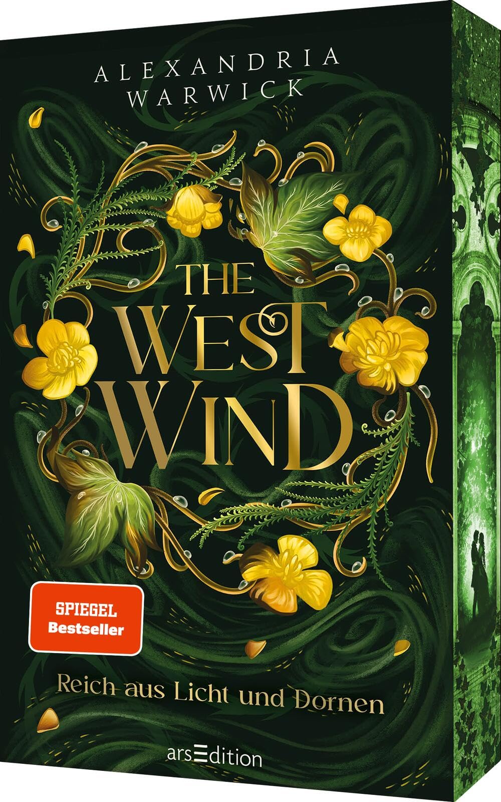 The West Wind - Reich aus Licht und Dornen Contemporary literature