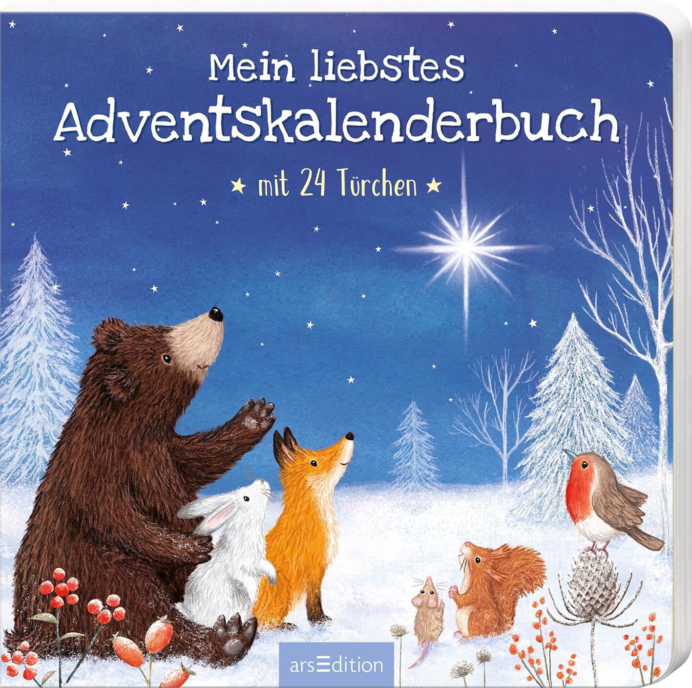 Mein liebstes Adventskalenderbuch Non-fiction