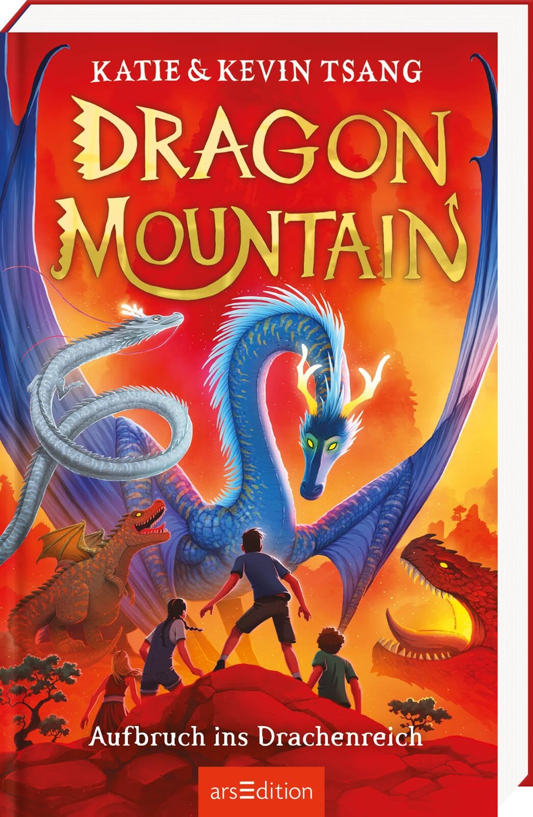 Dragon Mountain - Aufbruch ins Drachenreich (Dragon Mountain 1) Psychology