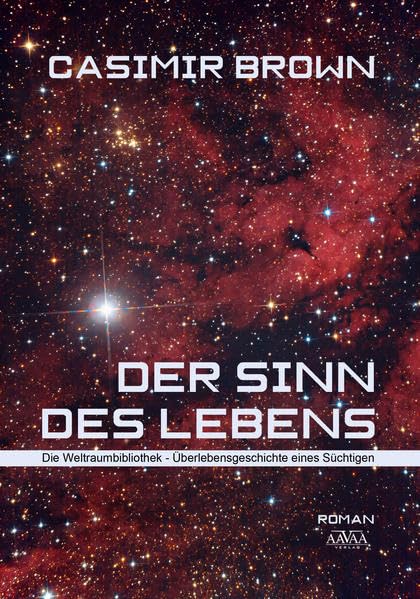 Der Sinn des Lebens - Großdruck Social Sciences
