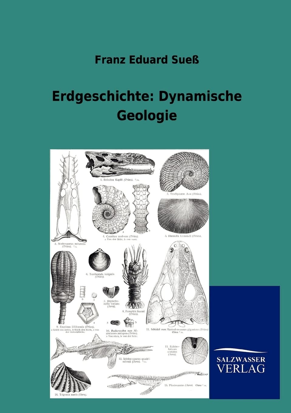Erdgeschichte: Dynamische Geologie Business & Technology