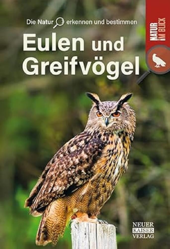 Eulen und Greifvögel Leisure, Home & Garden