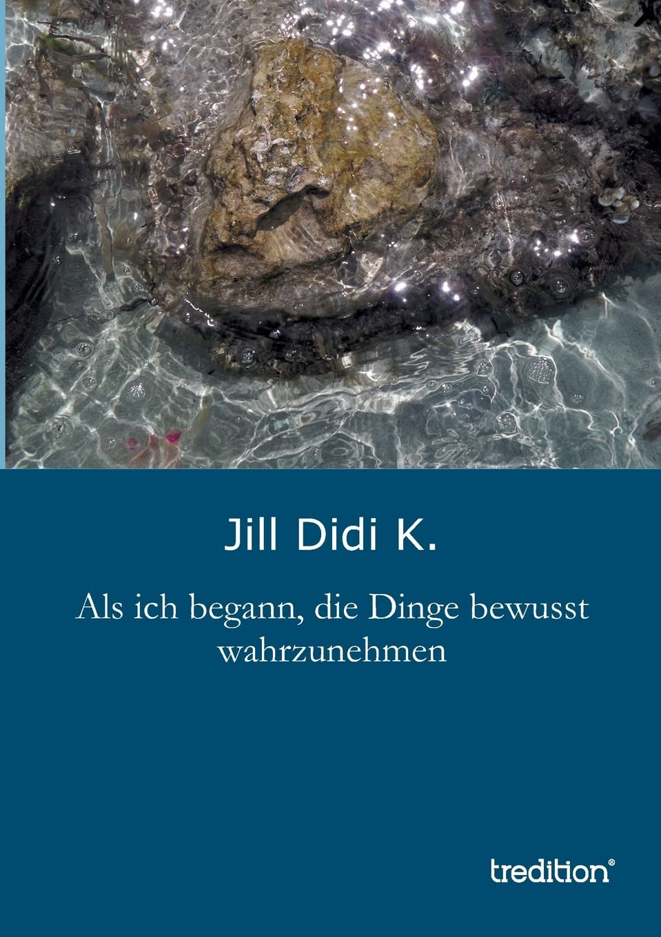 Als ich begann, die Dinge bewusst wahrzunehmen Contemporary literature