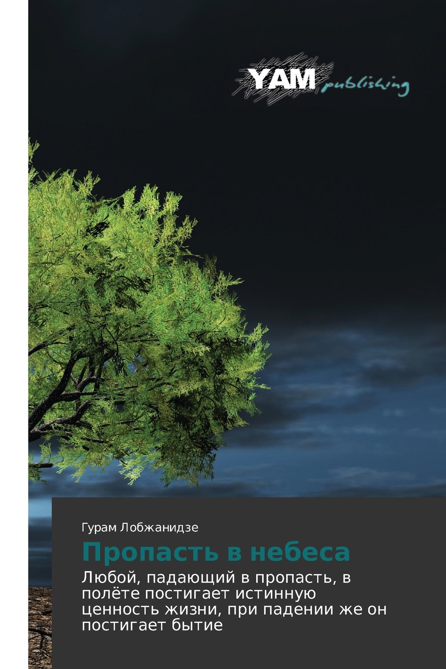 Propast' v nebesa: Lyuboy, padayushchiy v propast', v polyete postigaet istinnuyu tsennost' zhizni, pri padenii zhe on postigaet bytie: Lüboj, ... zhizni, pri padenii zhe on postigaet bytie Contemporary literature Books