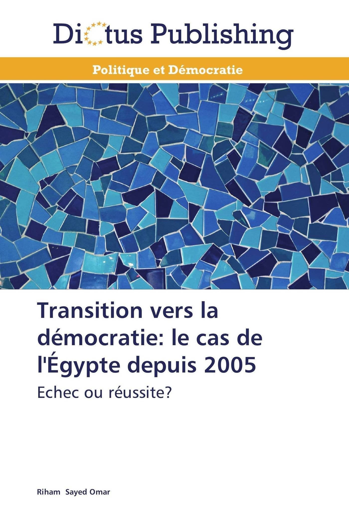 Transition vers la démocratie: le cas de l'Égypte depuis 2005: Echec ou réussite? book