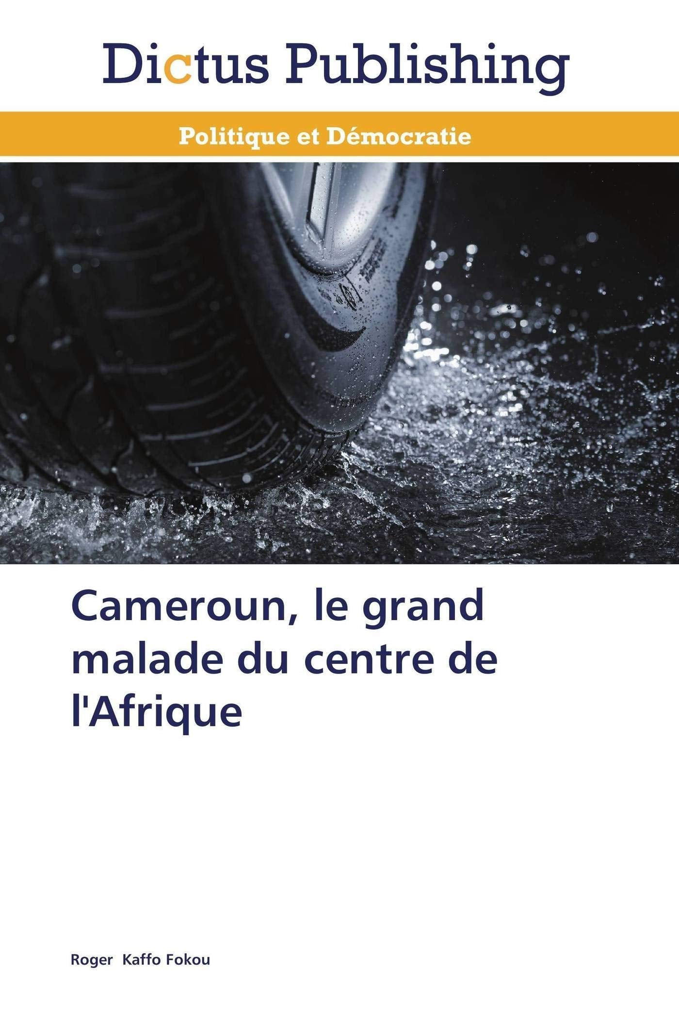 Cameroun, le grand malade du centre de l'Afrique book