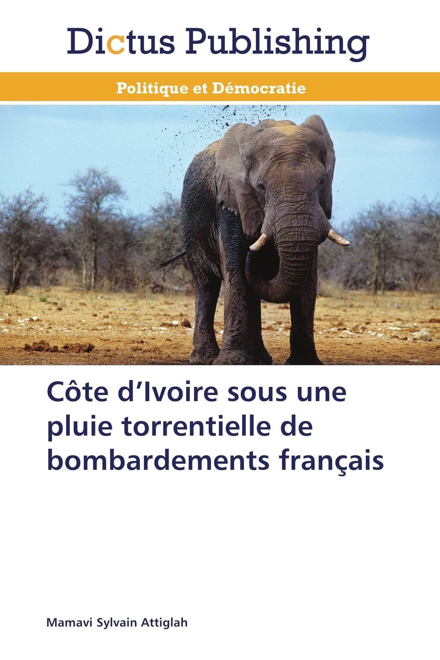 Côte d’Ivoire sous une pluie torrentielle de bombardements français book